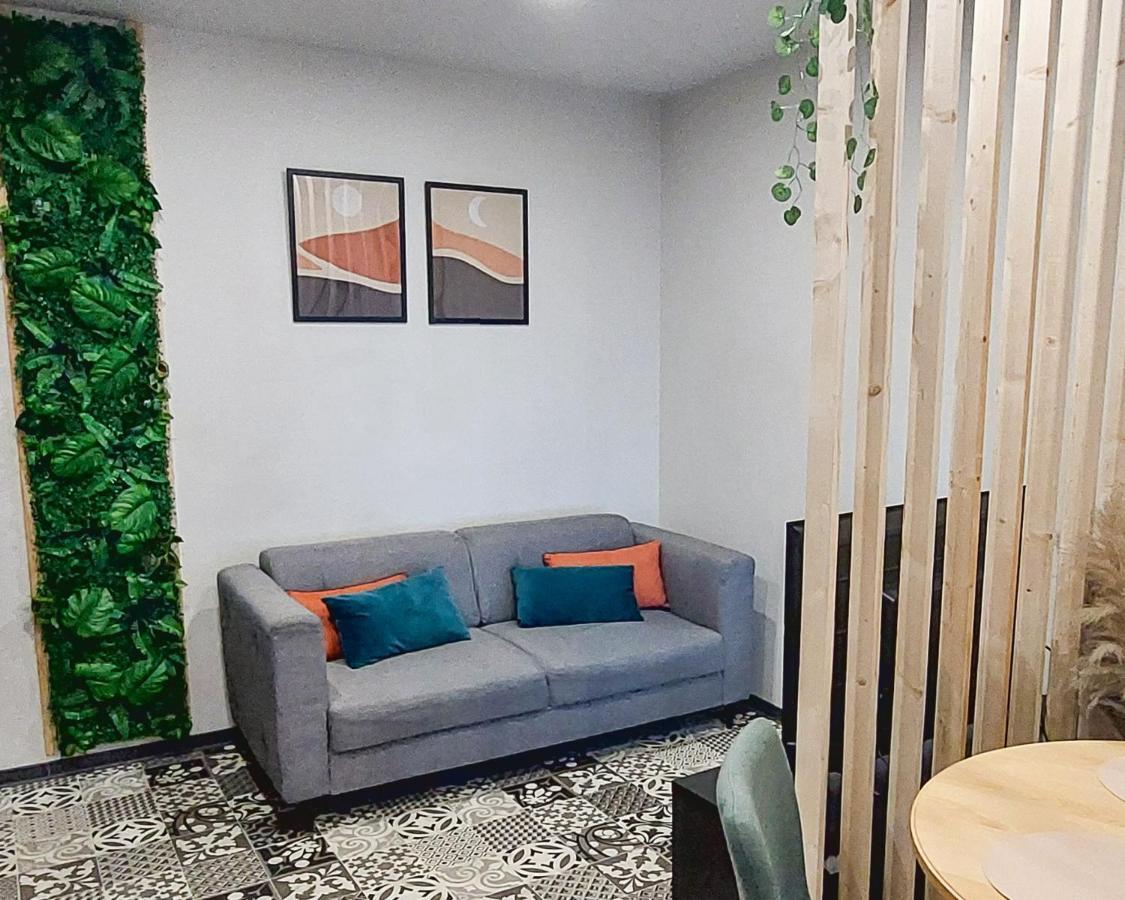 Artgrey * Ideal Pro * Roanne Secteur Gare Et Rue Pietonnes Exterior foto